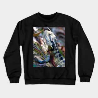 The Eastern Water Dragon! Crewneck Sweatshirt